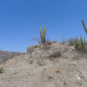 Baja2011 527 : Baja2011